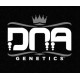 DNA Genetics