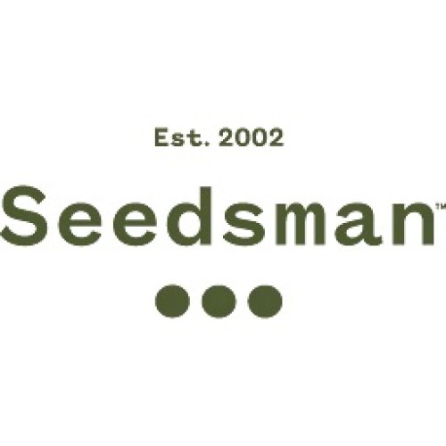 Семена Mandala seeds Ganesh Berry regular - цены, описание в интернет-магазине Dutch Seeds