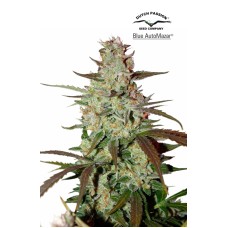 Dutch Passion Blue Auto Mazar autofem