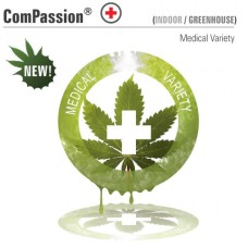 Dutch Passion Compassion feminized