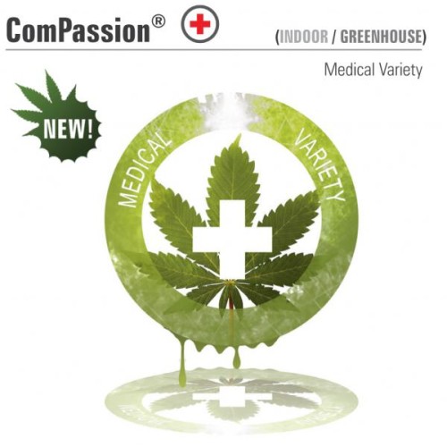 Семена Dutch Passion Compassion feminized - цены, описание в интернет-магазине Dutch Seeds