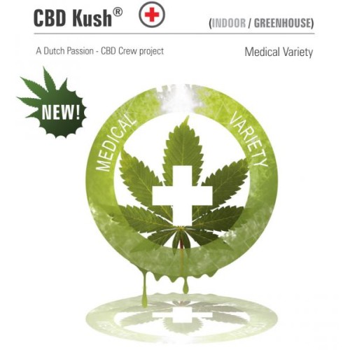 Семена Dutch Passion CBD Kush feminized - цены, описание в интернет-магазине Dutch Seeds