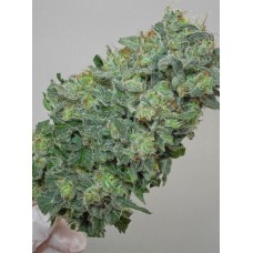 Mandala seeds Flashberry regular