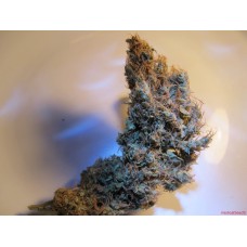 Medical seeds 2046 feminized