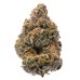 Семена Humboldt seeds The New feminized - цены, описание в интернет-магазине Dutch Seeds