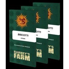 Barneys farm Biscotti feminized