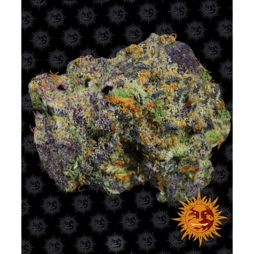 Семена Barneys farm Runtz Muffin feminized - цены, описание в интернет-магазине Dutch Seeds